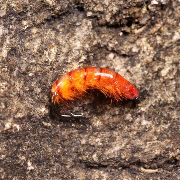 Weighted Scuds Fly Fishing Nymph Trout Fly A Dry Flies Nymphs Fly Fishing Flies Kit - Image 4