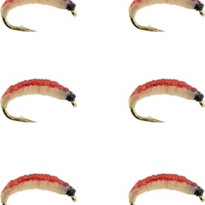 Fly Fishing Nymph Flies Dry Flies Nymphs Fly Fishing Flies Kit