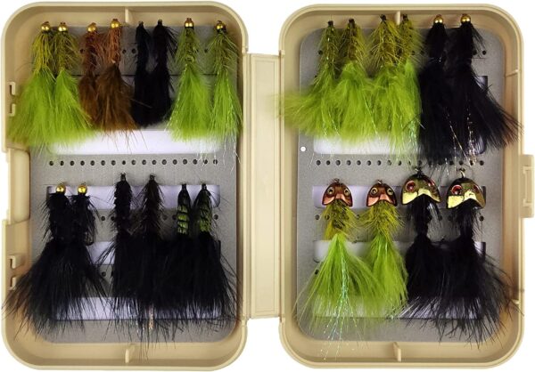 Best Assortment Flies Combo Carp Flies Wet T Dry Flies Nymphs Fly Fishing Flies Kit