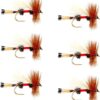 Royal Trude Classic Trout Dry Fly Fishing Fl Dry Flies Nymphs Fly Fishing Flies Kit