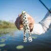 PowerBait Buzz'n Speed Toad Fishing Soft Bait Fishing Artificial Bait Soft Plastic Lures - Image 4