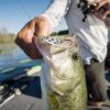 PowerBait Buzz'n Speed Toad Fishing Soft Bait Fishing Artificial Bait Soft Plastic Lures - Image 6