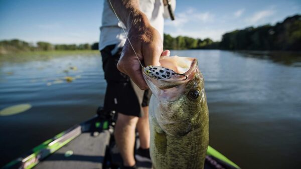 PowerBait Buzz'n Speed Toad Fishing Soft Bait Fishing Artificial Bait Soft Plastic Lures - Image 7