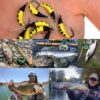 Fly Fishing Flies Kit  50/114Pcs Handmade Fl Dry Flies Nymphs Fly Fishing Flies Kit - Image 5