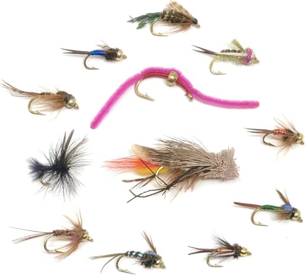 72pc Assortment  12 Popular Fly Fishing Wet  Dry Flies Nymphs Fly Fishing Flies Kit