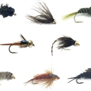 Fly Fishing Assortment for Trout and Other F Dry Flies Nymphs Fly Fishing Flies Kit