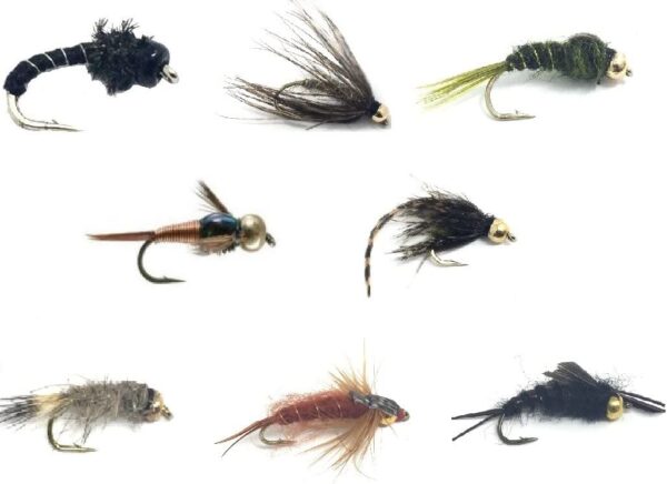 Fly Fishing Assortment for Trout and Other F Dry Flies Nymphs Fly Fishing Flies Kit