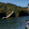 PowerBait Power Swimmer Fishing Artificial Bait Soft Plastic Lures - Image 3