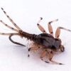 Realistic May Fly Nimph Set of 6 Dry Flies Nymphs Fly Fishing Flies Kit - Image 3