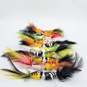 Fishing Bass Pike Flies 20 Pack Poppers Size Dry Flies Nymphs Fly Fishing Flies Kit