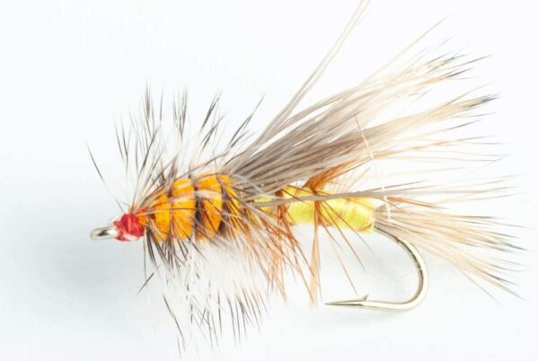 Stimulator Dry Fly 6 Pack Dry Flies Nymphs Fly Fishing Flies Kit