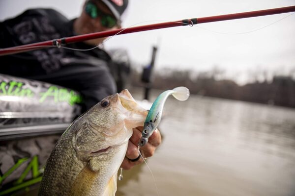 PowerBait Hollow Belly Fishing Soft Bait Fishing Artificial Bait Soft Plastic Lures - Image 4