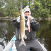 Haggerty Jointed Muskie Fishing Lures -Pike  Dry Flies Nymphs Fly Fishing Flies Kit - Image 6