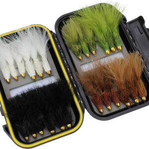 Fly Fishing Cone Head Wooly Bugger Fly Assor Dry Flies Nymphs Fly Fishing Flies Kit