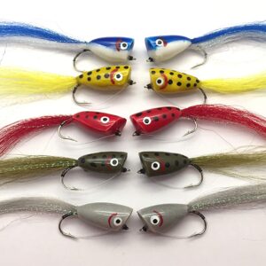 Fishing Bass Pike Flies 10 Pack Premium Popp Dry Flies Nymphs Fly Fishing Flies Kit