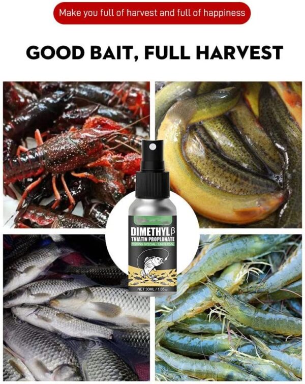 Fishing Attractants 30g High Concentration Fi Fishing Artificial Bait Soft Plastic Lures - Image 5