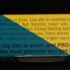 Anchovy Bait Oil  2 Ounce Fishing Artificial Bait Soft Plastic Lures - Image 3