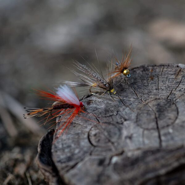 Fly Fishing Flies Kit 40pcs/76pcs/100pcs F Dry Flies Nymphs Fly Fishing Flies Kit - Image 3