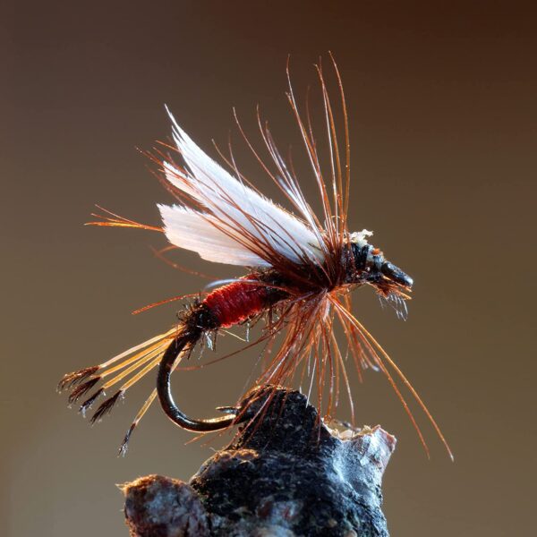 Fly Fishing Flies Kit 40pcs/76pcs/100pcs F Dry Flies Nymphs Fly Fishing Flies Kit - Image 4