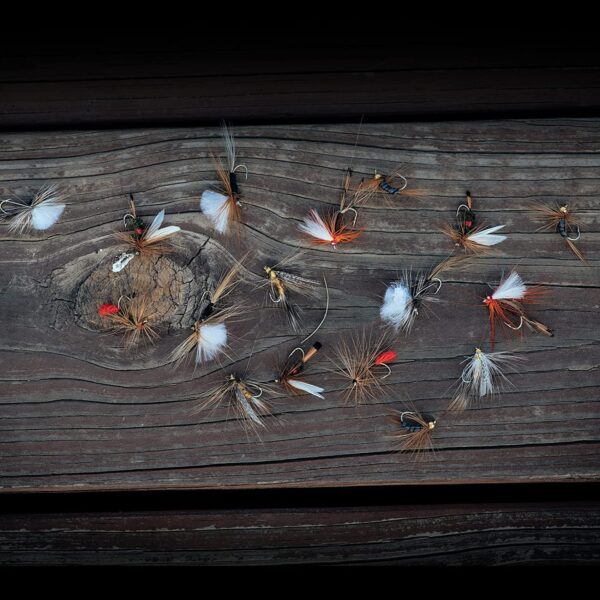 Fly Fishing Flies Kit 40pcs/76pcs/100pcs F Dry Flies Nymphs Fly Fishing Flies Kit - Image 5