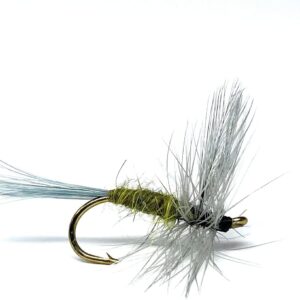 – Blue Winged Olive Fly 12PC Assortment Dry Flies Nymphs Fly Fishing Flies Kit