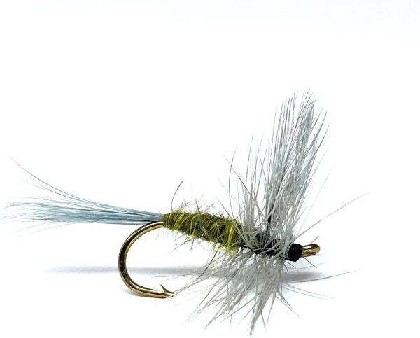 - Blue Winged Olive Fly 12PC Assortment Dry Flies Nymphs Fly Fishing Flies Kit
