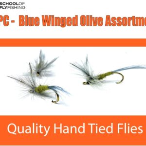 – Blue Winged Olive Fly 12PC Assortment Dry Flies Nymphs Fly Fishing Flies Kit