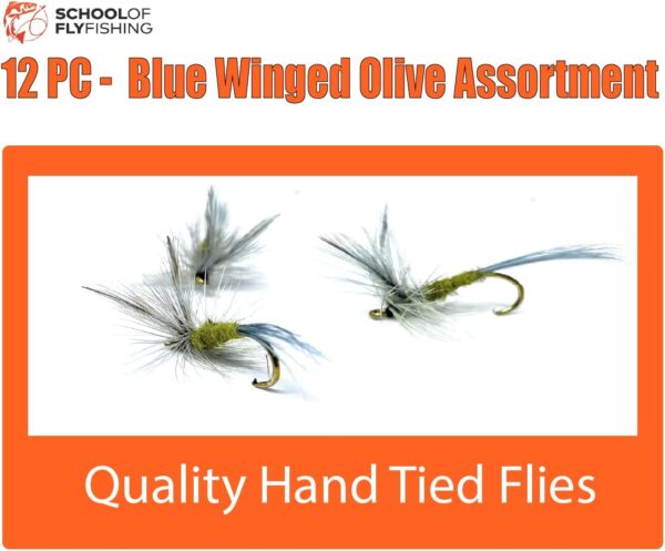 - Blue Winged Olive Fly 12PC Assortment Dry Flies Nymphs Fly Fishing Flies Kit - Image 2