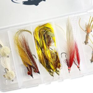 Saltwater Fly Fishing Flies Assortment Kit w Dry Flies Nymphs Fly Fishing Flies Kit