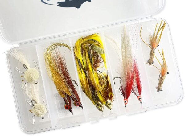 Saltwater Fly Fishing Flies Assortment Kit w Dry Flies Nymphs Fly Fishing Flies Kit