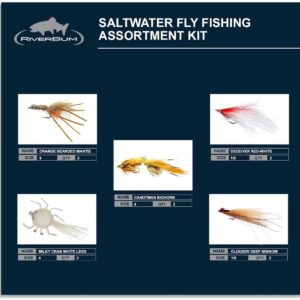 Saltwater Fly Fishing Flies Assortment Kit w Dry Flies Nymphs Fly Fishing Flies Kit