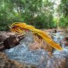 Saltwater Fly Fishing Flies Assortment Kit w Dry Flies Nymphs Fly Fishing Flies Kit - Image 3