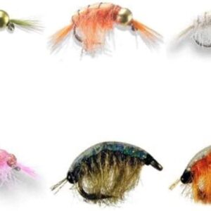 – 6 Piece Fly Assortment Dry Flies Nymphs Fly Fishing Flies Kit