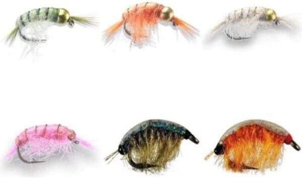 - 6 Piece Fly Assortment Dry Flies Nymphs Fly Fishing Flies Kit