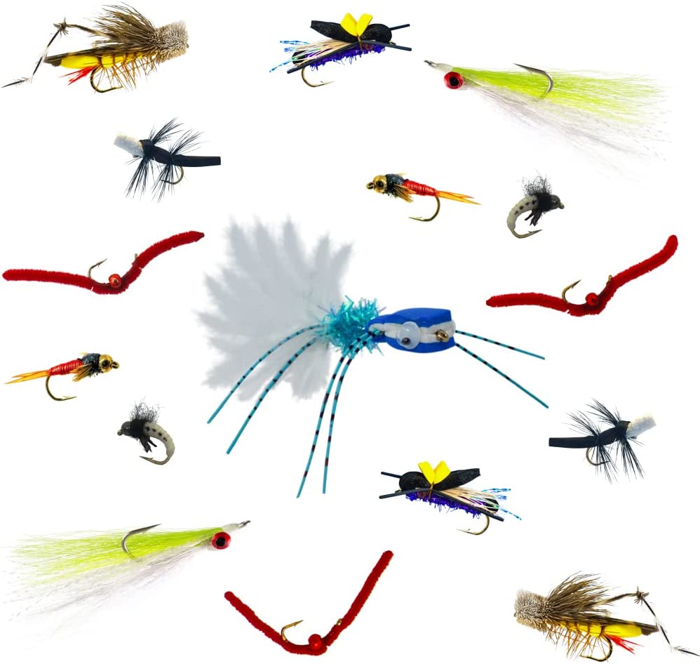 Snow Cone Nymph Fly Pattern 6-Pack Dry Flies Nymphs Fly Fishing