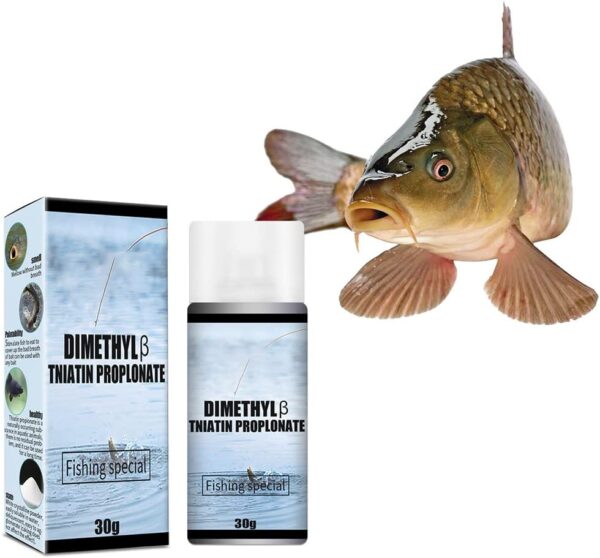 Scent Fish Attractant  for Lures and Baits  L Fishing Artificial Bait Soft Plastic Lures
