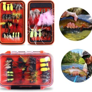 Fly Fishing Flies Kit  36/78Pcs Fly Fishing  Dry Flies Nymphs Fly Fishing Flies Kit