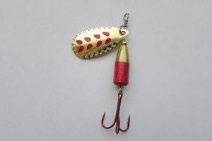 Read more about the article What is the best fake bait for fishing?