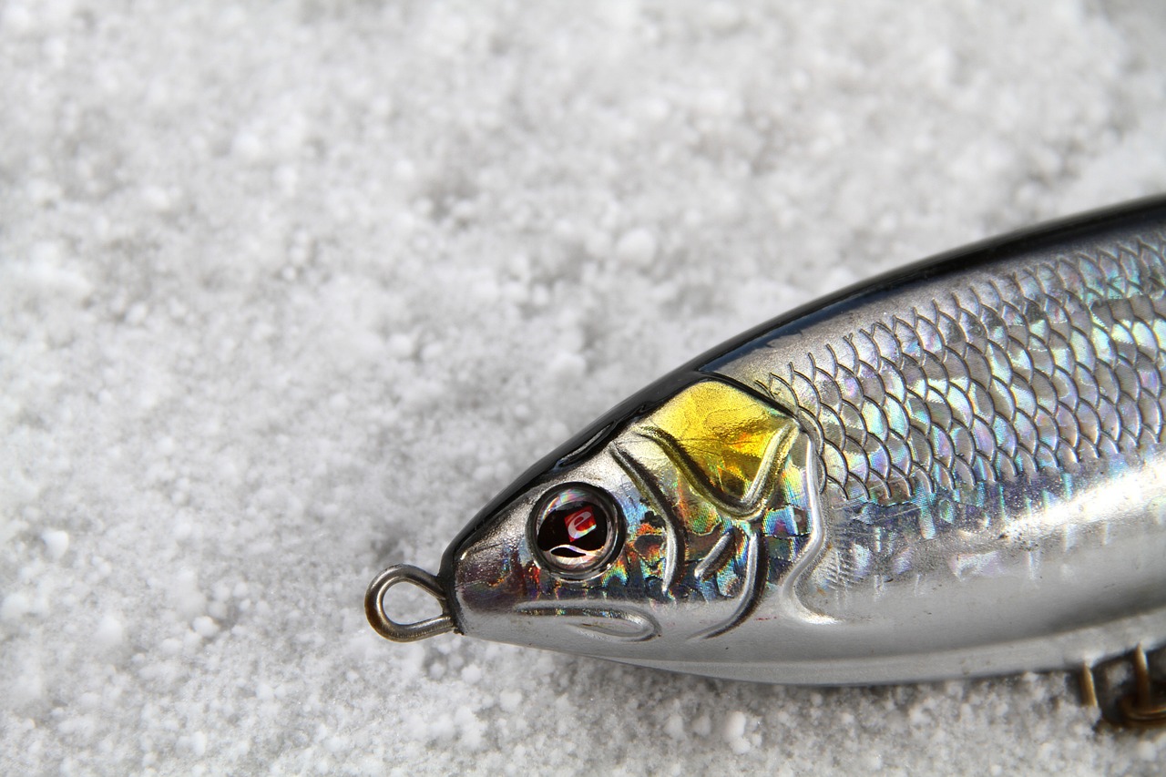 Read more about the article best fall bass lures,good fall lures?